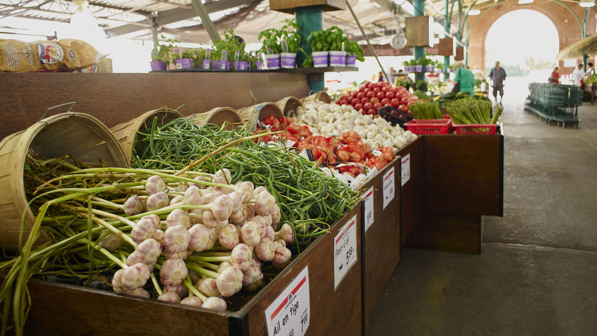 Marche des Halles dAnjou